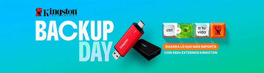 Kingston - Backup Day