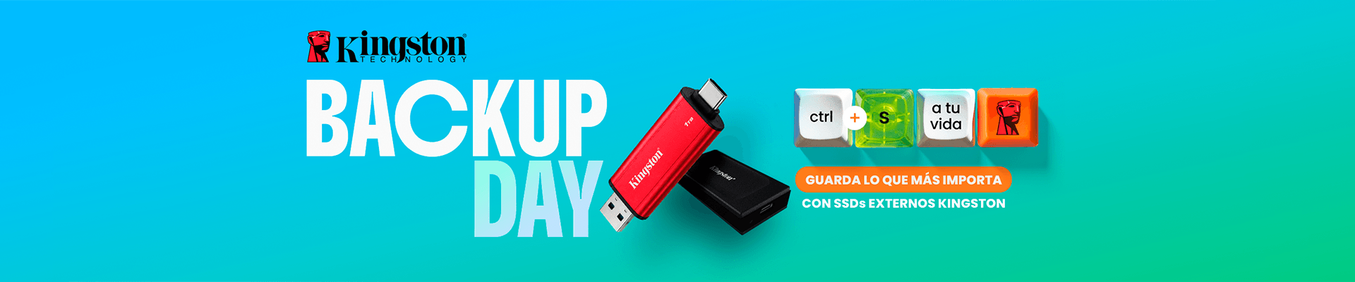 Kingston - Backup day